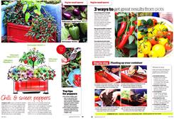 ledge veg