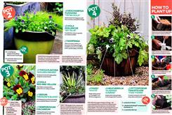 winter container projects 2