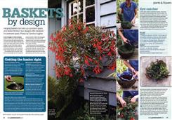 hanging basket 1