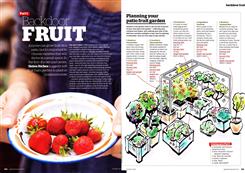 Backdoor Fruit