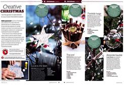 homegrown Christmas 3