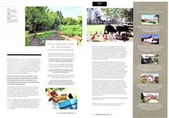 kitchen garden2