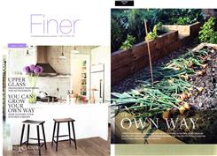 kitchen garden