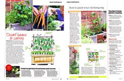 ledge veg 2