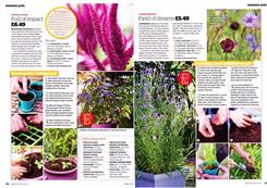 get sowing!