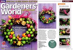 homegrown Christmas